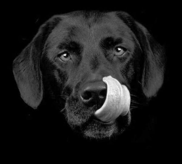 dc77dc266dc2669652505d1b5513118a