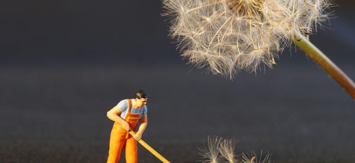 shallow-focus-photo-of-man-holding-floor-brush-ceramic-434163